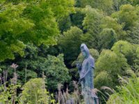 289242384_1064547511135726_426660617391291797_n