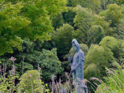 289242384_1064547511135726_426660617391291797_n