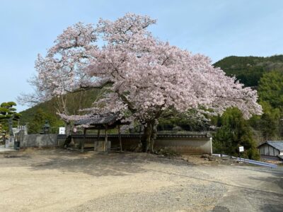 453985776_1591863628211957_6987968073060658790_n